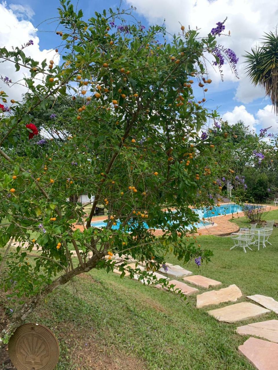 Pouso Dos Querubins Vila Tiradentes Exterior foto